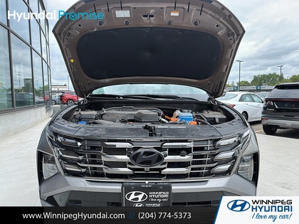 used 2025 Hyundai Tucson Plug-In Hybrid car, priced at $44,095