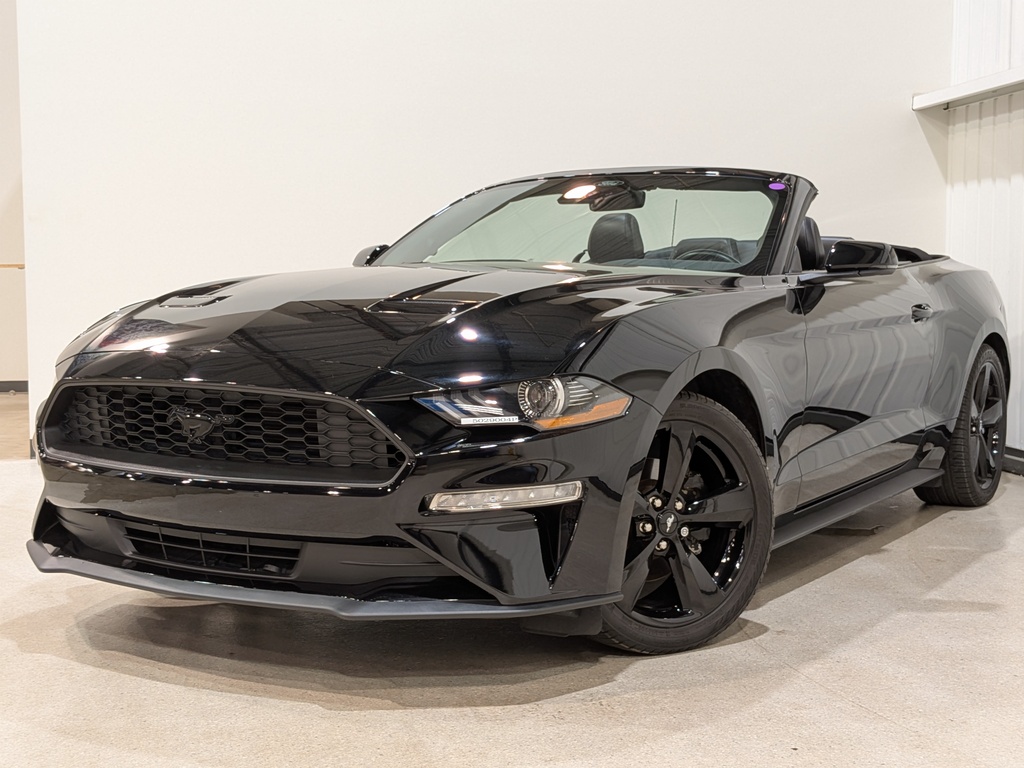 Ford Mustang 2023