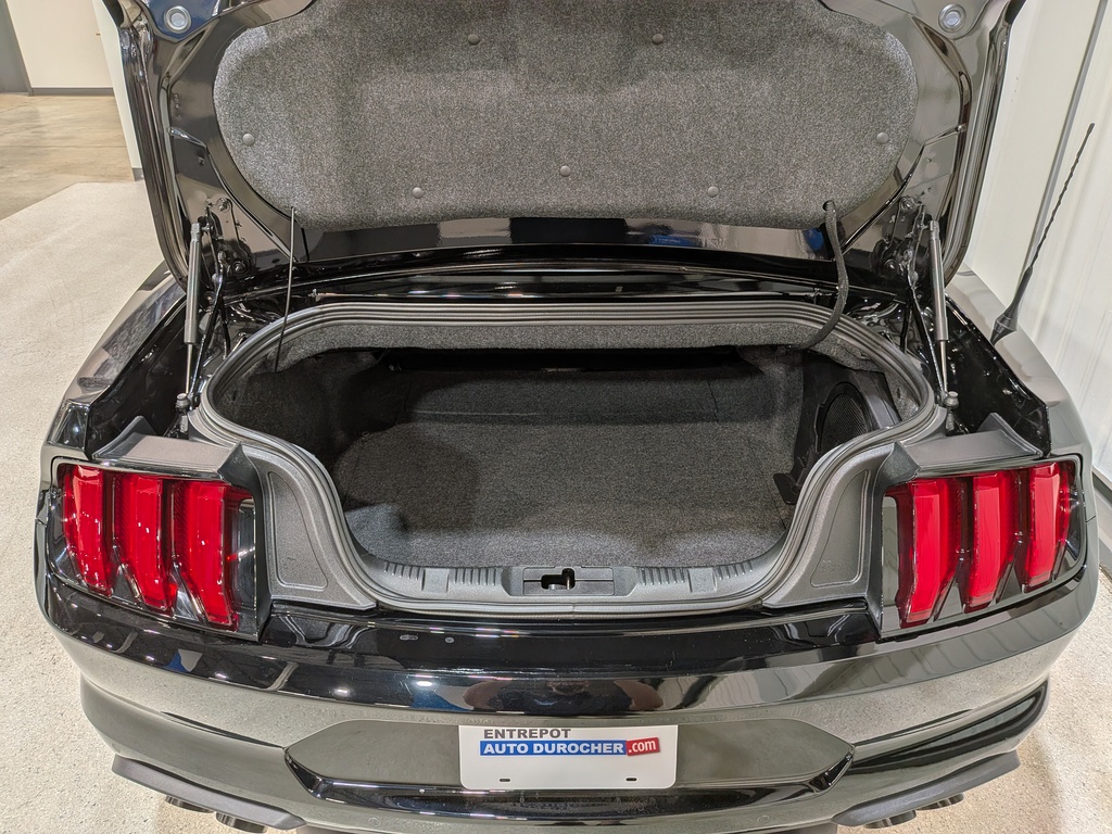 Ford Mustang 2023