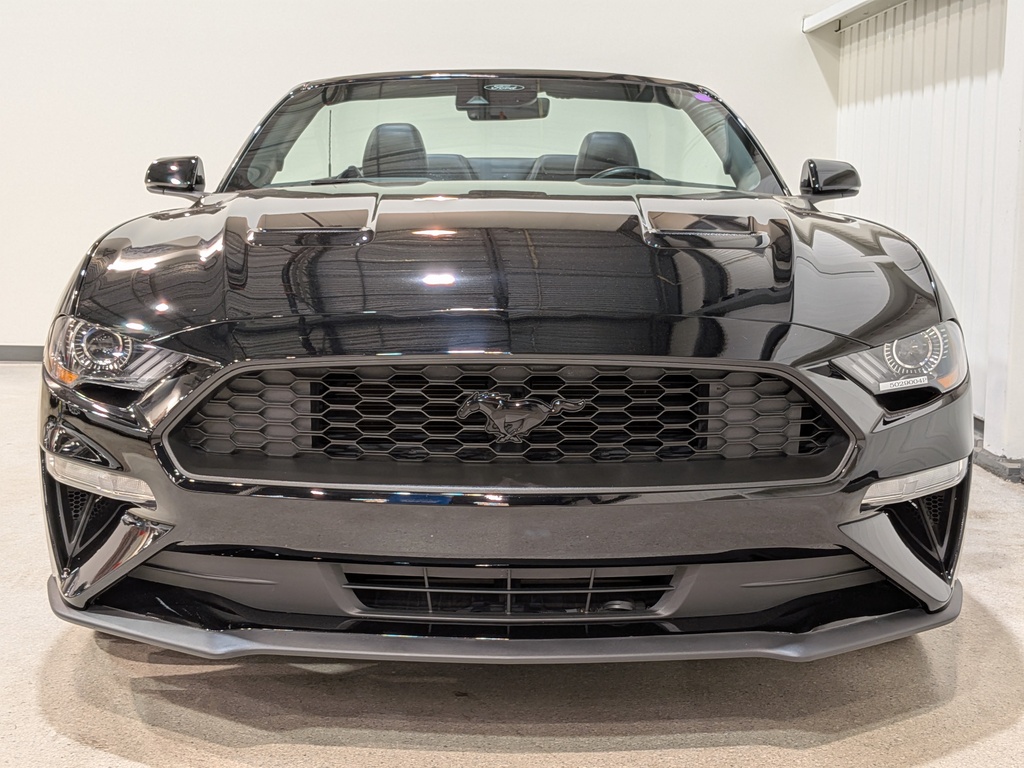 Ford Mustang 2023