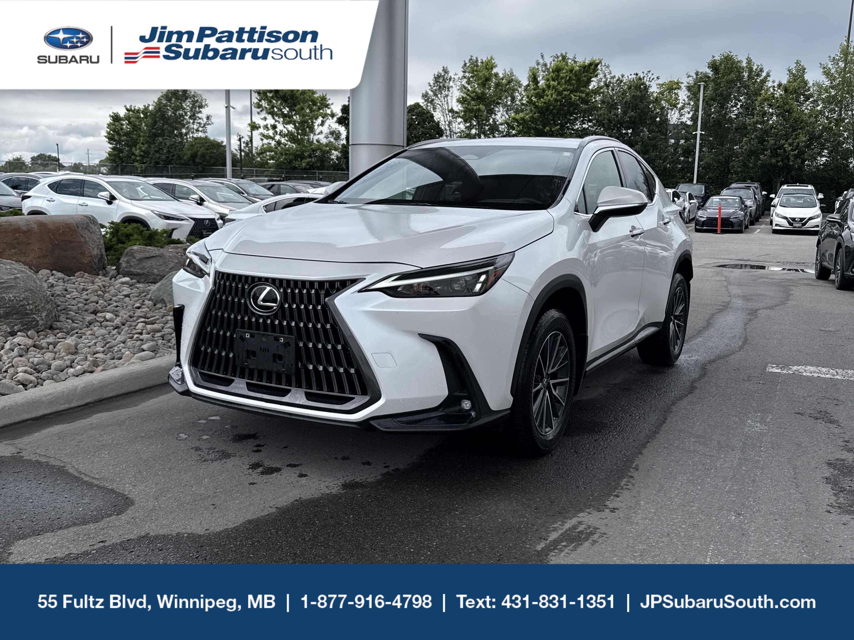 White 2025 Lexus NX SUV / Crossover All-Wheel Drive Automatic