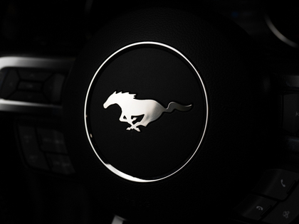 used 2016 Ford Mustang car, priced at $24,900