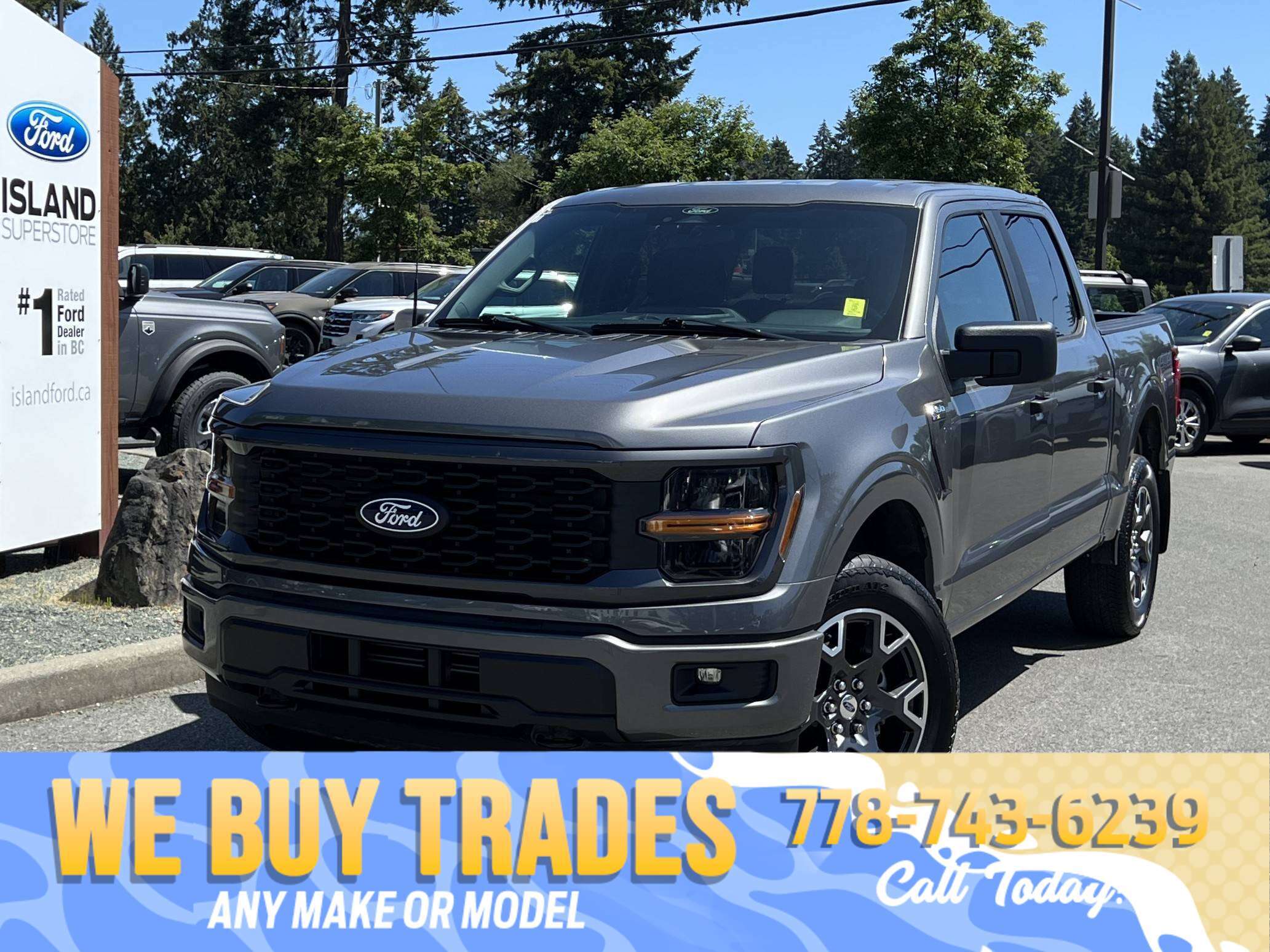 Gray 2024 Ford F-150 Pickup Truck Four-Wheel Drive Automatic