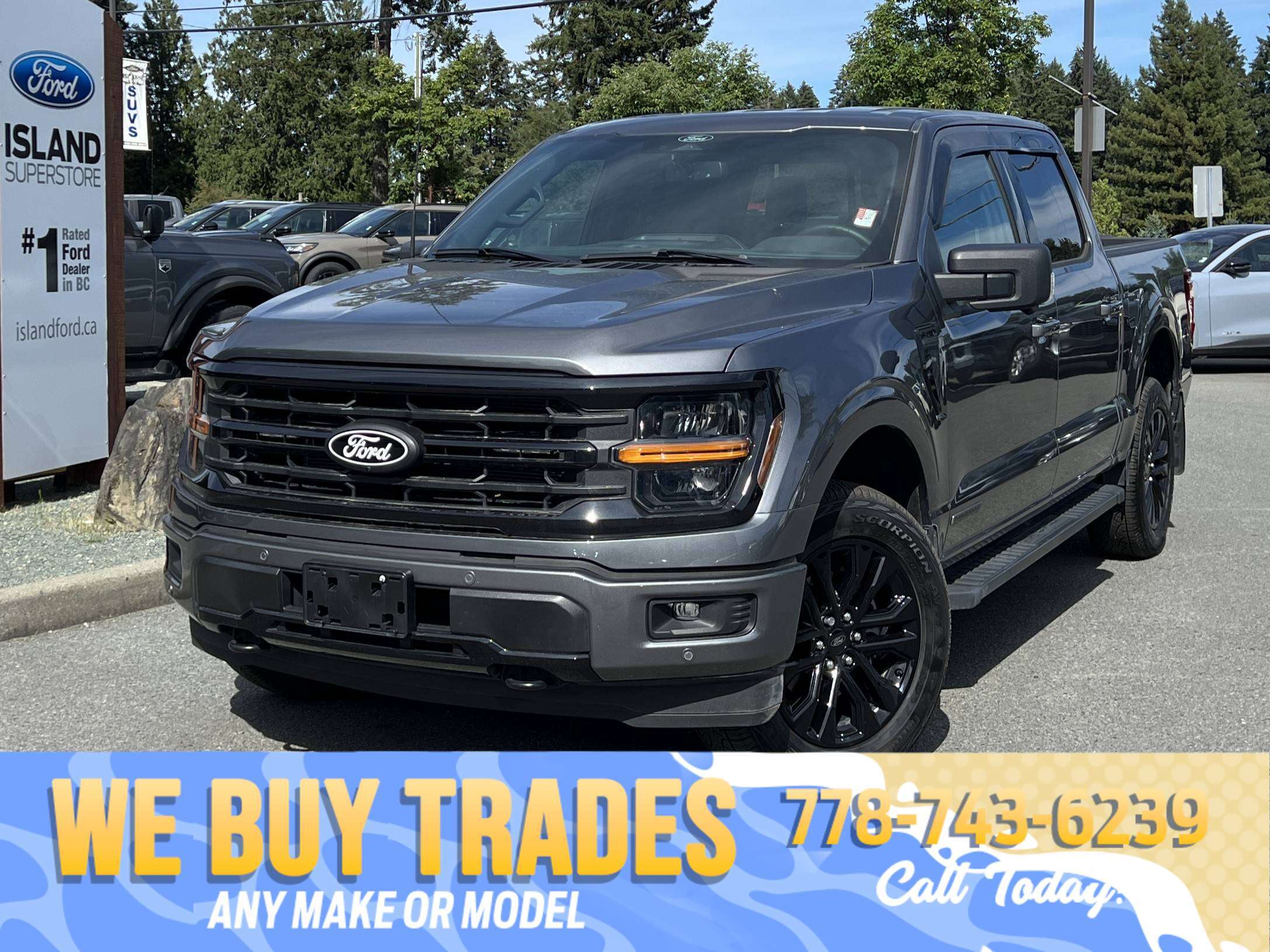 Gray 2025 Ford F-150 Pickup Truck Four-Wheel Drive Automatic