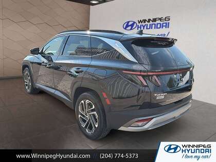 used 2025 Hyundai Tucson Hybrid car, priced at $44,000