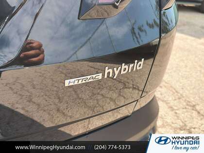 used 2025 Hyundai Tucson Hybrid car, priced at $44,000
