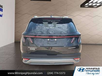 used 2025 Hyundai Tucson Hybrid car, priced at $44,000