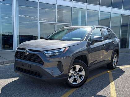 used 2025 Toyota RAV4 car