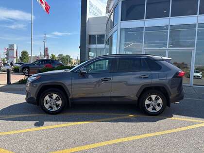 used 2025 Toyota RAV4 car