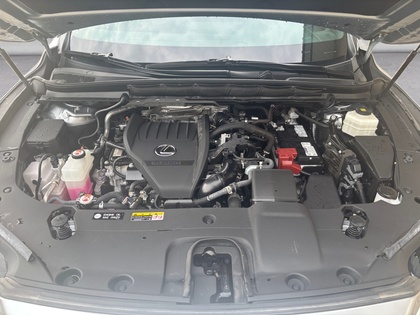 used 2024 Lexus RX car, priced at $51,288