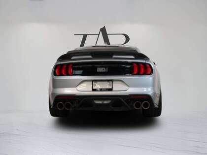 used 2021 Ford Mustang car