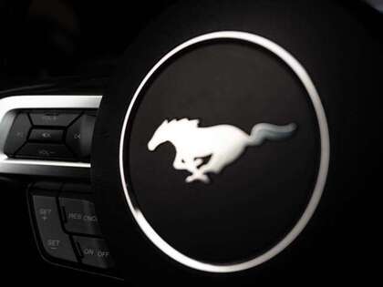 used 2021 Ford Mustang car
