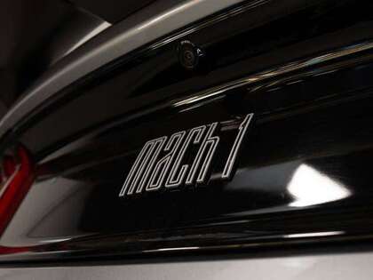 used 2021 Ford Mustang car