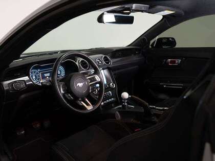used 2021 Ford Mustang car