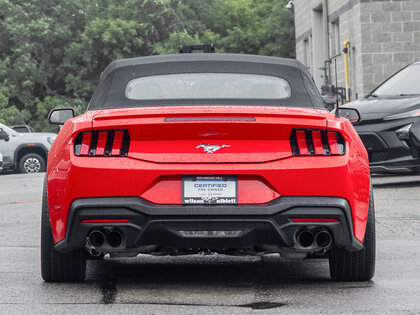 used 2024 Ford Mustang car, priced at $37,995
