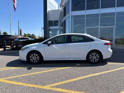 used 2025 Toyota Corolla car, priced at $31,995