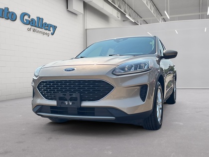 used 2020 Ford Escape car, priced at $19,988