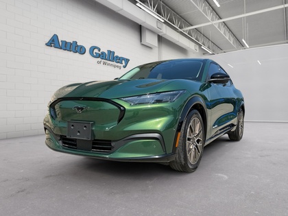 used 2024 Ford Mustang Mach-E car, priced at $45,879