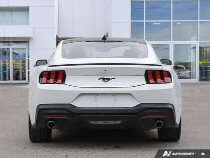 used 2024 Ford Mustang car, priced at $35,800