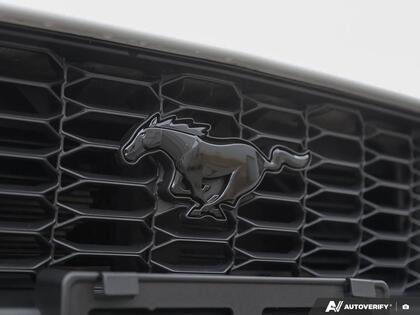 used 2024 Ford Mustang car, priced at $35,800