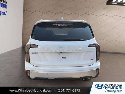 used 2024 Kia Telluride car, priced at $48,399