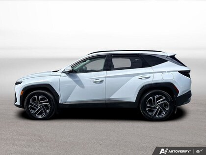 used 2025 Hyundai Tucson Hybrid car, priced at $46,999