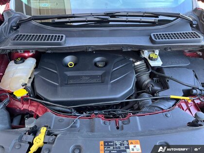 used 2015 Ford Escape car, priced at $13,900