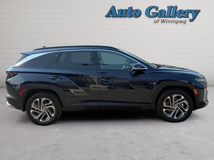 used 2025 Hyundai Tucson car, priced at $42,998
