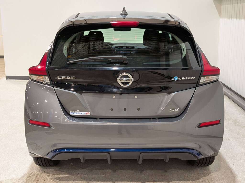 Nissan LEAF 2019