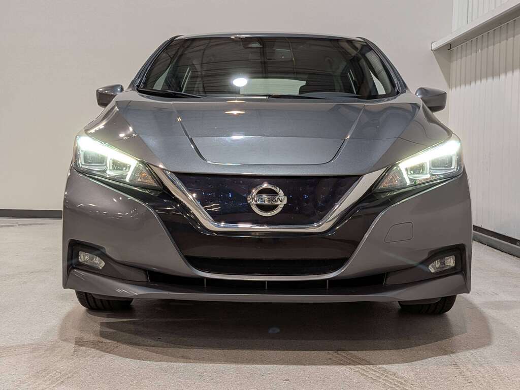 Nissan LEAF 2019