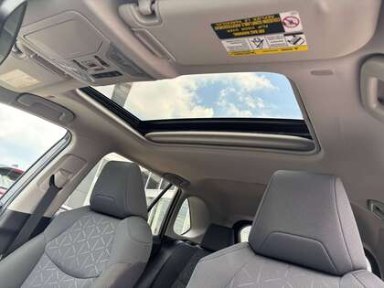 used 2023 Toyota RAV4 car