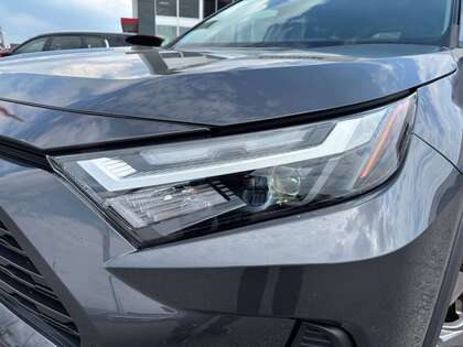 used 2023 Toyota RAV4 car