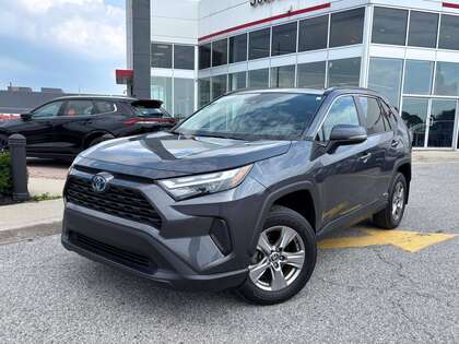 used 2023 Toyota RAV4 car