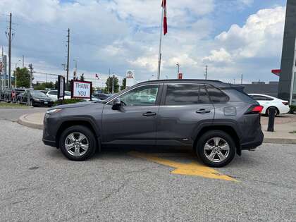 used 2023 Toyota RAV4 car