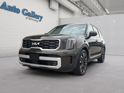 used 2023 Kia Telluride car, priced at $45,853
