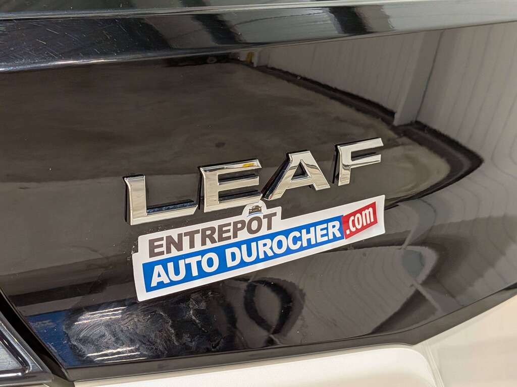 Nissan LEAF 2020
