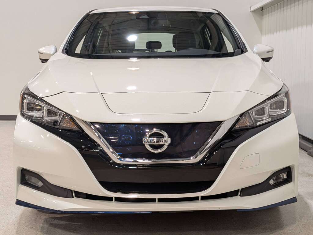Nissan LEAF 2020