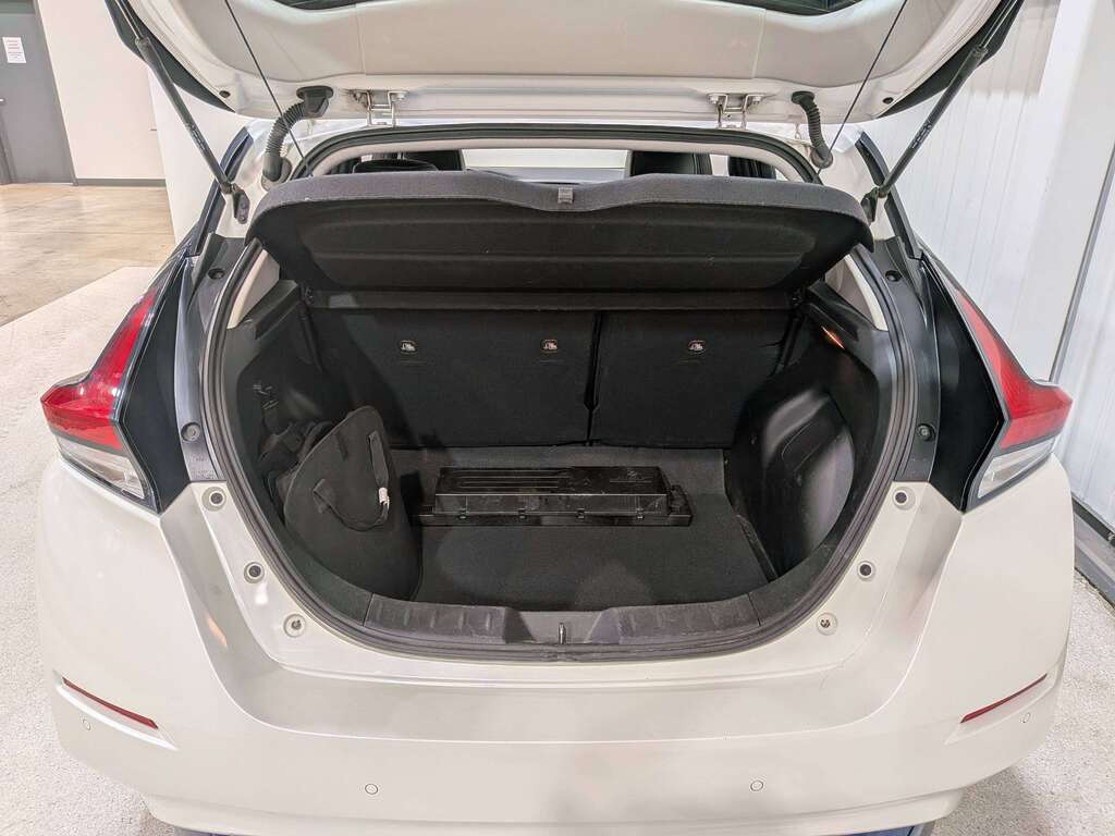 Nissan LEAF 2020