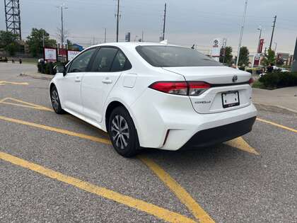 used 2025 Toyota Corolla car