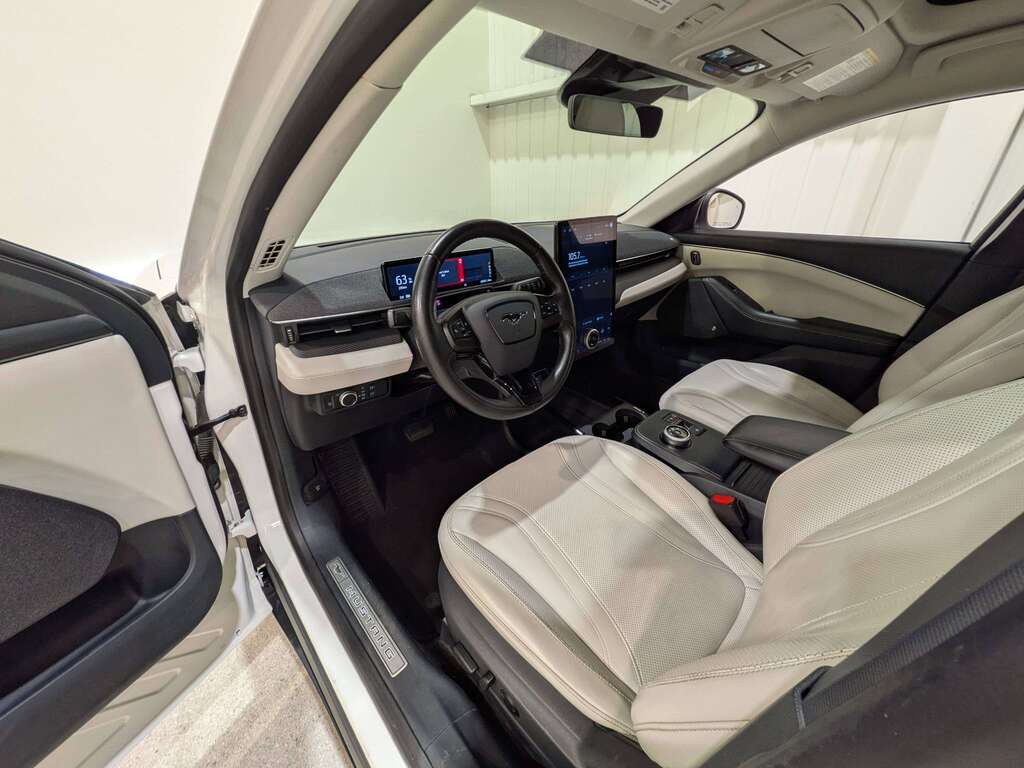 Ford Mustang Mach-E 2021