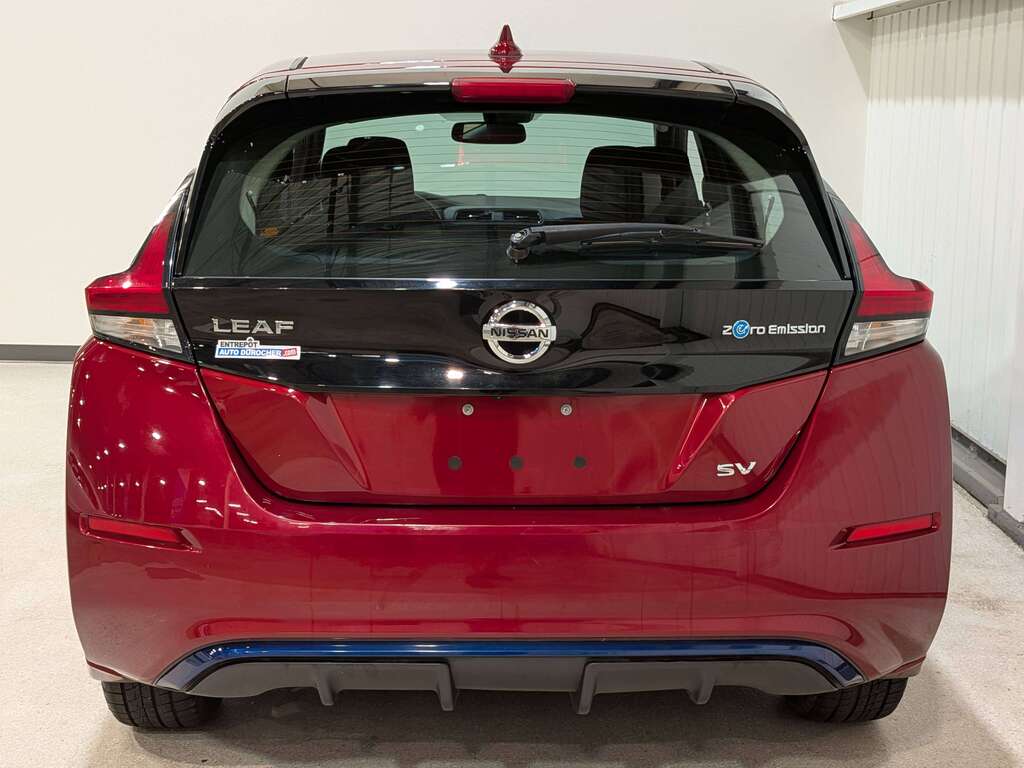 Nissan LEAF 2019