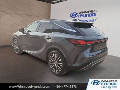used 2026 Lexus RX car, priced at $62,000