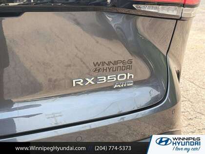 used 2026 Lexus RX car, priced at $62,000