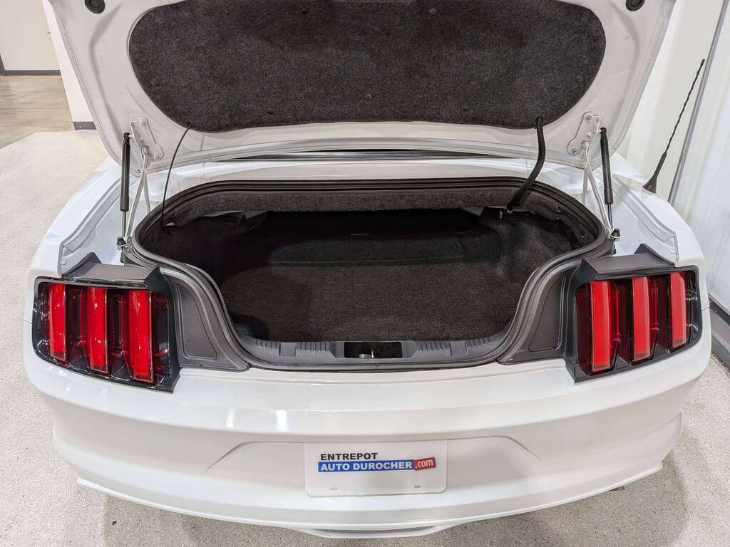 Ford Mustang 2015