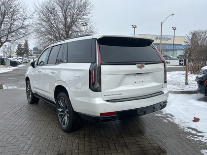 used 2023 Cadillac Escalade car, priced at $138,888