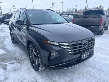 used 2022 Hyundai Tucson Hybrid car, priced at $39,850