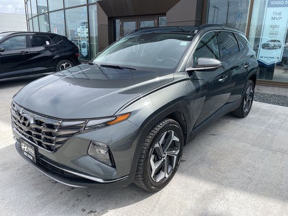 used 2023 Hyundai Tucson Hybrid car, priced at $35,338