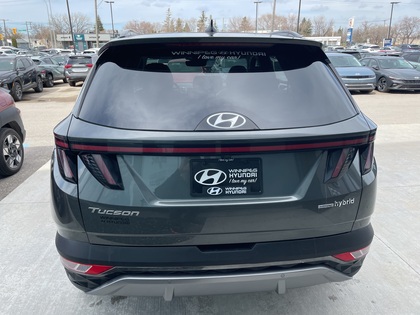 used 2023 Hyundai Tucson Hybrid car, priced at $35,338