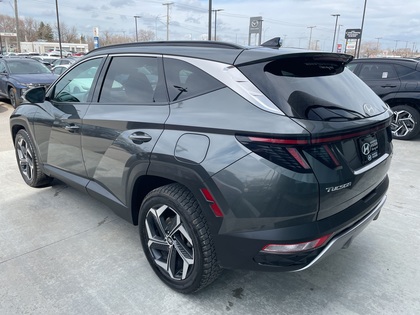 used 2023 Hyundai Tucson Hybrid car, priced at $35,338