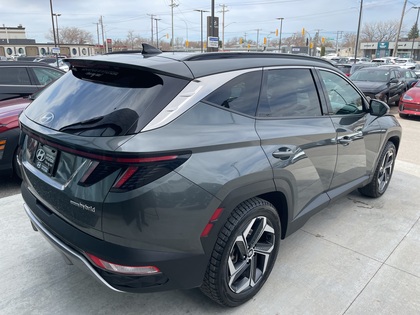 used 2023 Hyundai Tucson Hybrid car, priced at $35,338
